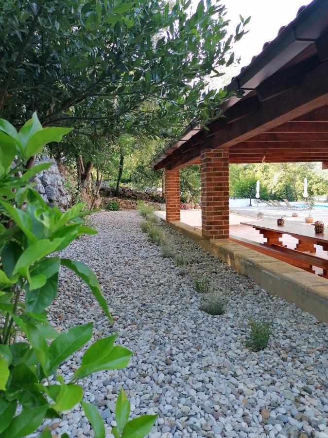 Amazing 4 Bedroom Villa With Swimming Pool And Wifi, Family Frendly Tribalj  Exterior photo